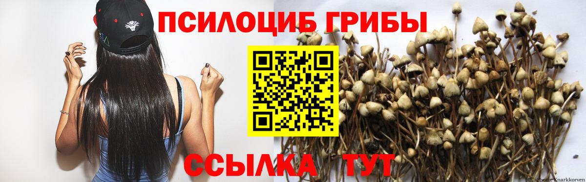 Балашиха  Псилоцибиновые грибы GOLDEN TEACHER  купить наркотики цена  Вход с VPN 